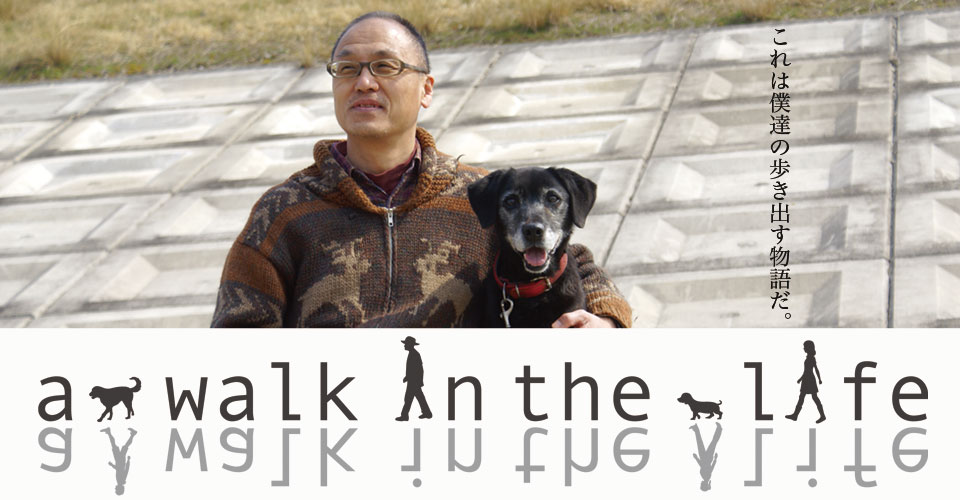 a walk in the life